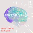 Moe Turk, Shyam P - Can\'t Forget You (Extended Mix)