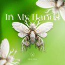 Hakan Akkus - In My Hands (Extended Mix)