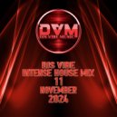Djs Vibe - Intense House Mix 11 (November ()
