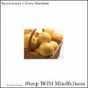 Sleep BGM Mindfulness - Spirit Soothed by Frequencies Promoting Mental Wellness (Original Mix)