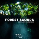 King Of Madness - Forest Sounds (Original Mix)