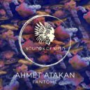 Ahmet Atakan - Ivy