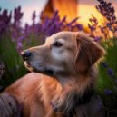 Lofi Sleep & Dog Frequency & Dog Frequencies - Calm Canine Lofi Vibes