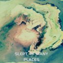 Electronic Fluke - Slept in many places ()