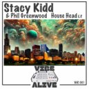 Stacy Kidd - Turn Up The Vibe (Original Mix)