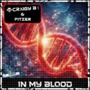 Craigy B! & Fitzer - In My Blood