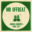 Mr Offbeat - Hidden Currents (Radio Edit)