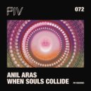 Anil Aras - Dexed Tek
