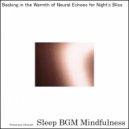 Sleep BGM Mindfulness - Serenity Blossoms in Mindful Meditation\'s Embrace (Original Mix)