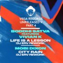 Boddhi Satva feat. Vivian K - Life Is A Lesson (DJ ERV Rework)