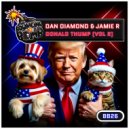 Dan Diamond & Jamie R - Donald Thump (Vol 2) (Original Mix)