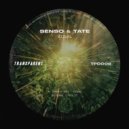 Senso (UK) & Tate - Vizual (Original Mix)