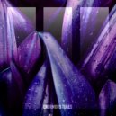 Helvetic Nerds - Adolescence