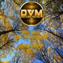 Djs Vibe - The Session Mix 11 (November 2