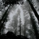 Well Project - Noire ()