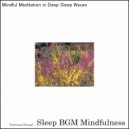 Sleep BGM Mindfulness - A Journey of Healing Through the Power of Yoga Rhythms