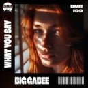 Big Gabee - What You Say (Original Mix)