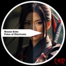 Rowan Echo - Pulse of Electronic (Original Mix)