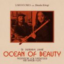 Earthtones feat. Sheela Bringi - Infinite Tenderness (Original Mix)