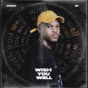 ZIDDO - Wish You Well (Original Mix)