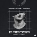 Dj Nelasta Nel Flow, Teo No Beat - Babosa (Original Mix)