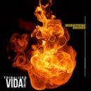 Tribalizer - Vida Rhythms (Lady of Victory Mix)