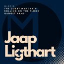 Jaap Ligthart - Gadget Arms (Original Mix)