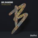 Mr.Diamond - Tribalero (Original Mix)
