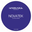 Novatek - Indeed (Original Mix)