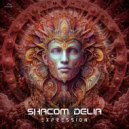 Shacom Delia - Laydown (Original Mix)