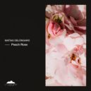 Matías Delóngaro - Peach Rose