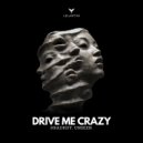 Unseen., KRADRIFF - Drive Me Crazy (Original Mix)