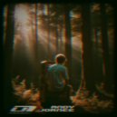 Andy Jornee - Never Again