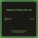 Domenico Brena, Palmiz - For The Next Time