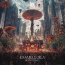 ExaMelodica - Acid In Israel (Original Mix)