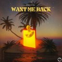 discotek - Want Me Back (Extended)