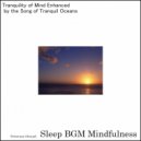 Sleep BGM Mindfulness - Nature\'s Whisper for Sleep Continuation (Original Mix)