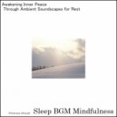 Sleep BGM Mindfulness - Serenading the Mind with Neural Tunes (Original Mix)
