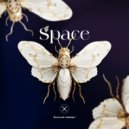 Soroush Heidari - Space