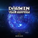 Darwin & Time Rhythm - So Wonderful