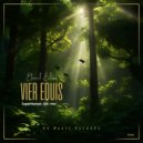Vier Equis - Imagination