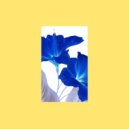 Budakid - Lovin\' Sun (Renato Cohen Remix)
