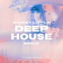 Deviz Beltram - Lights On