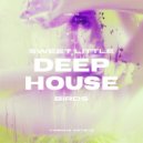 Steen Thottrup feat. Denver Knoesen - Another Day (S.T & A.P\'s Feet in The Sand Remix)