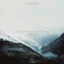 Aurora-bird (CHN) - Infinity (Extended Mix)