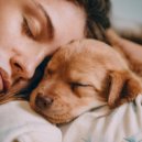 Huellas Musicales & Cachorro azul & Banda Sonora Canina - Armonía Descansante Para Perro