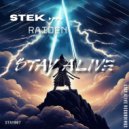 Stek - Raiden (Original Mix)