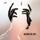 Lace - Blocks of Life