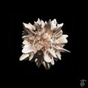 Aaron Suiss, Barak White - Echoes (Original Mix)
