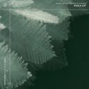 Kimao, Carlos Barbero - Tife (Original Mix)